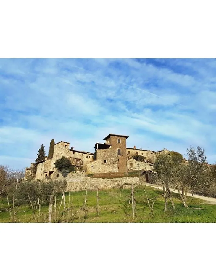 Iris Nel Borgo Apartment Greve in Chianti